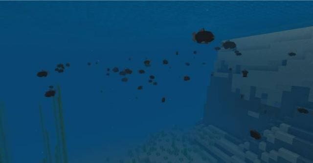 description_0 Piranhas.