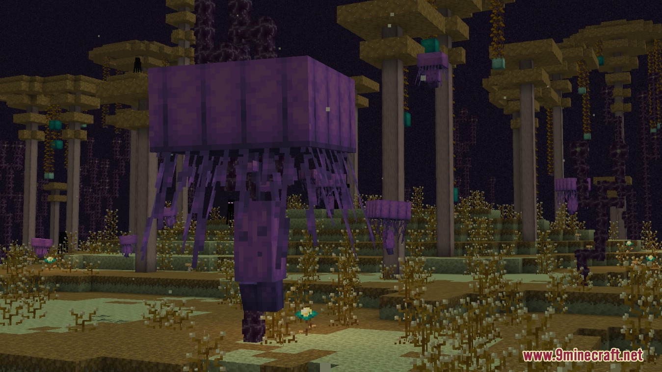 description_3 Enderscape Mod 1.19.2 - Qué hay de nuevo en Enderscape