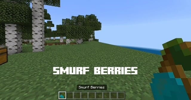 description_0 Cat Smurf.