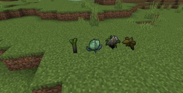 description_6 Pokecraft.