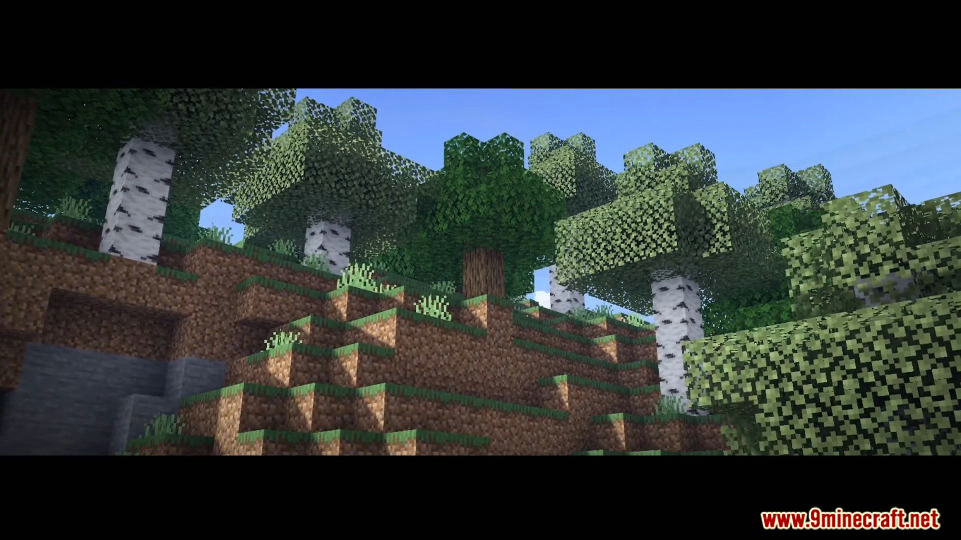 image 3 for Continuum Shader (1.19) - supports dragon rendering.