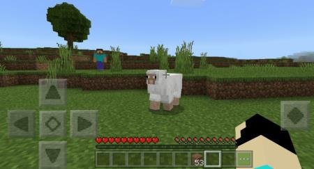 description_6 Herobrine.