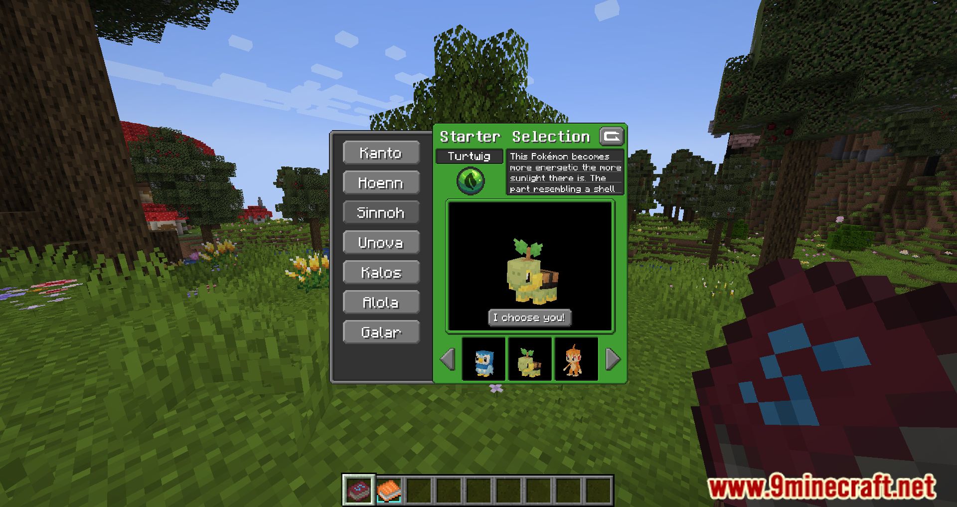 description_12 Bigchadguys Plus Modpack - Minecraft и Мир Покемонов