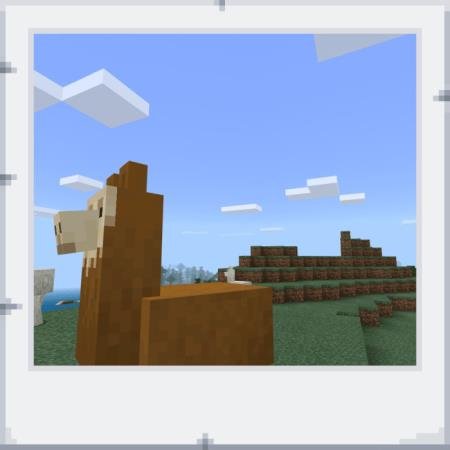 description_8 Comportamiento actualizado.