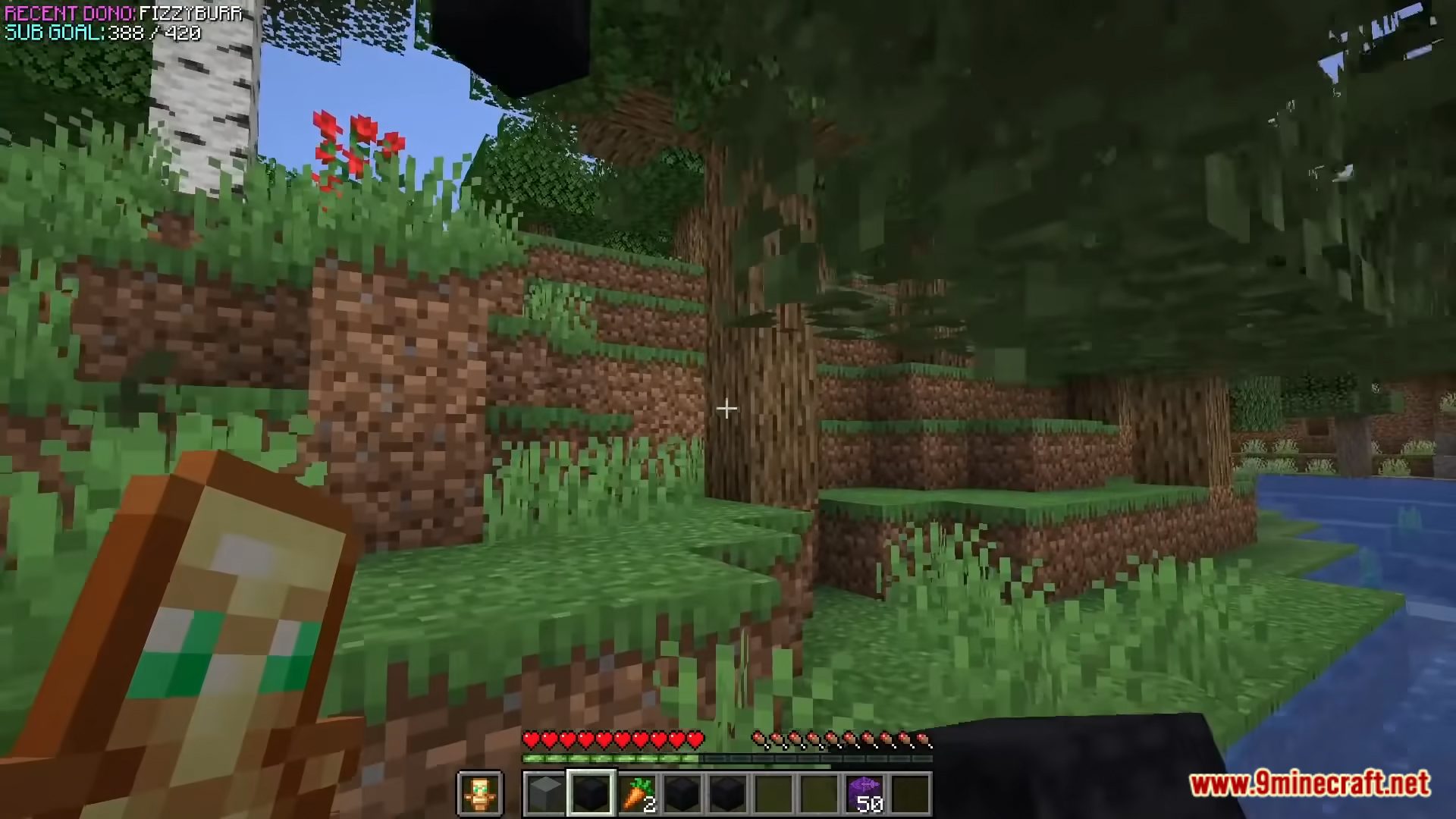 description_7 Пакет данных Minecraft But Everything Is Random (1.20.2, 1.19.4)