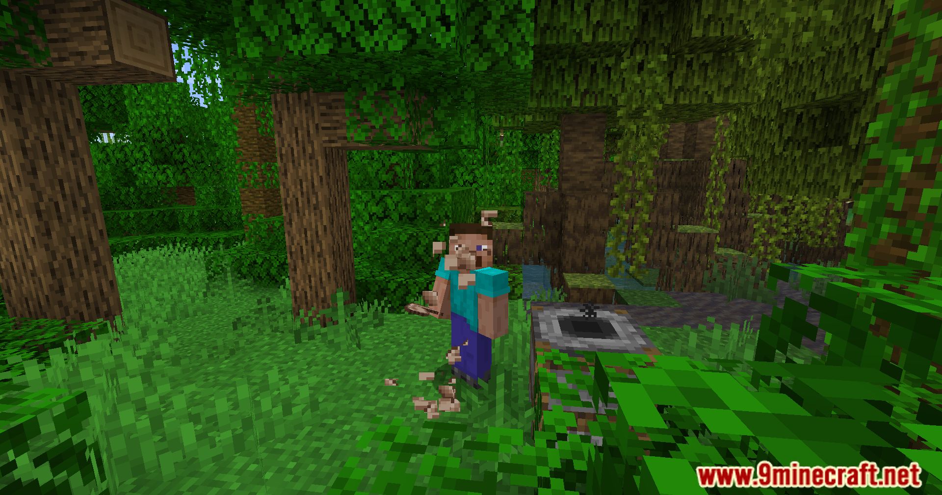 description_10 Frog Legs Mod (1.20.4) - Plunge into a new culinary adventure!