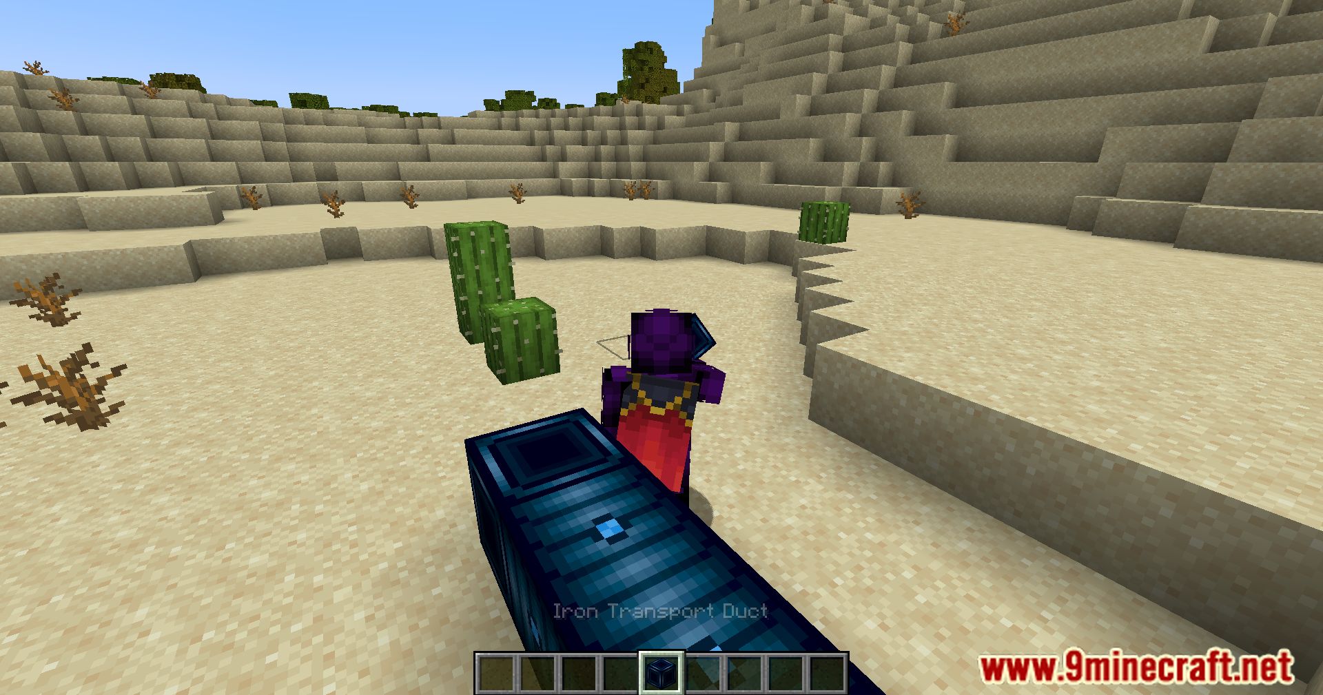 image 9 para el modo de canal de transporte del reproductor (1.20.4) - Introducción a los canales de transporte del reproductor