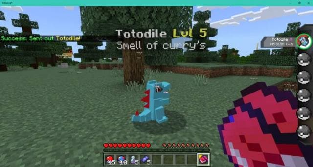 description_4 Pokébedrock