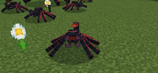 description_12 Expansion of survival.