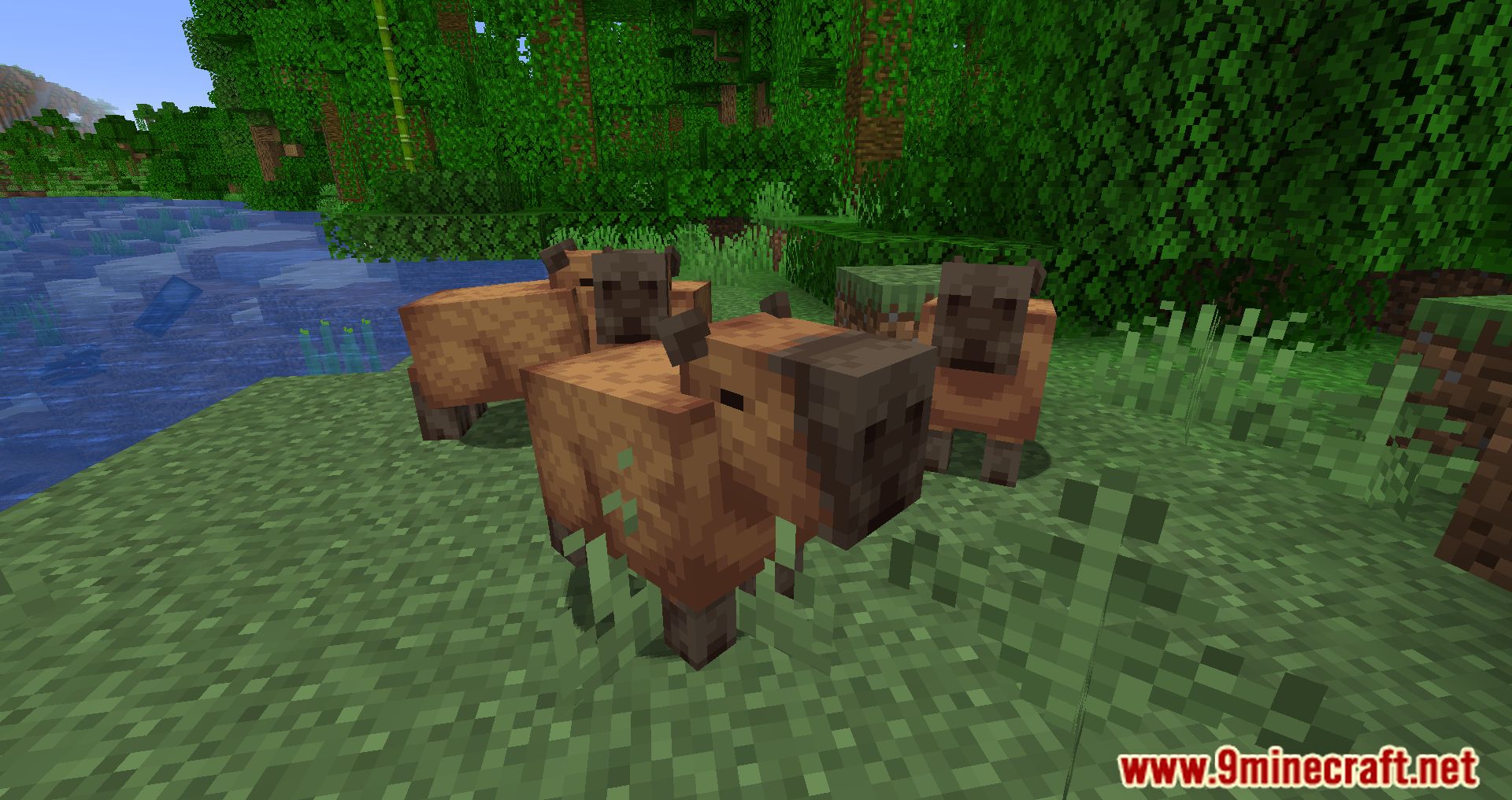 description_0 Capybara Mod 1.20.2 - New creatures in the jungle