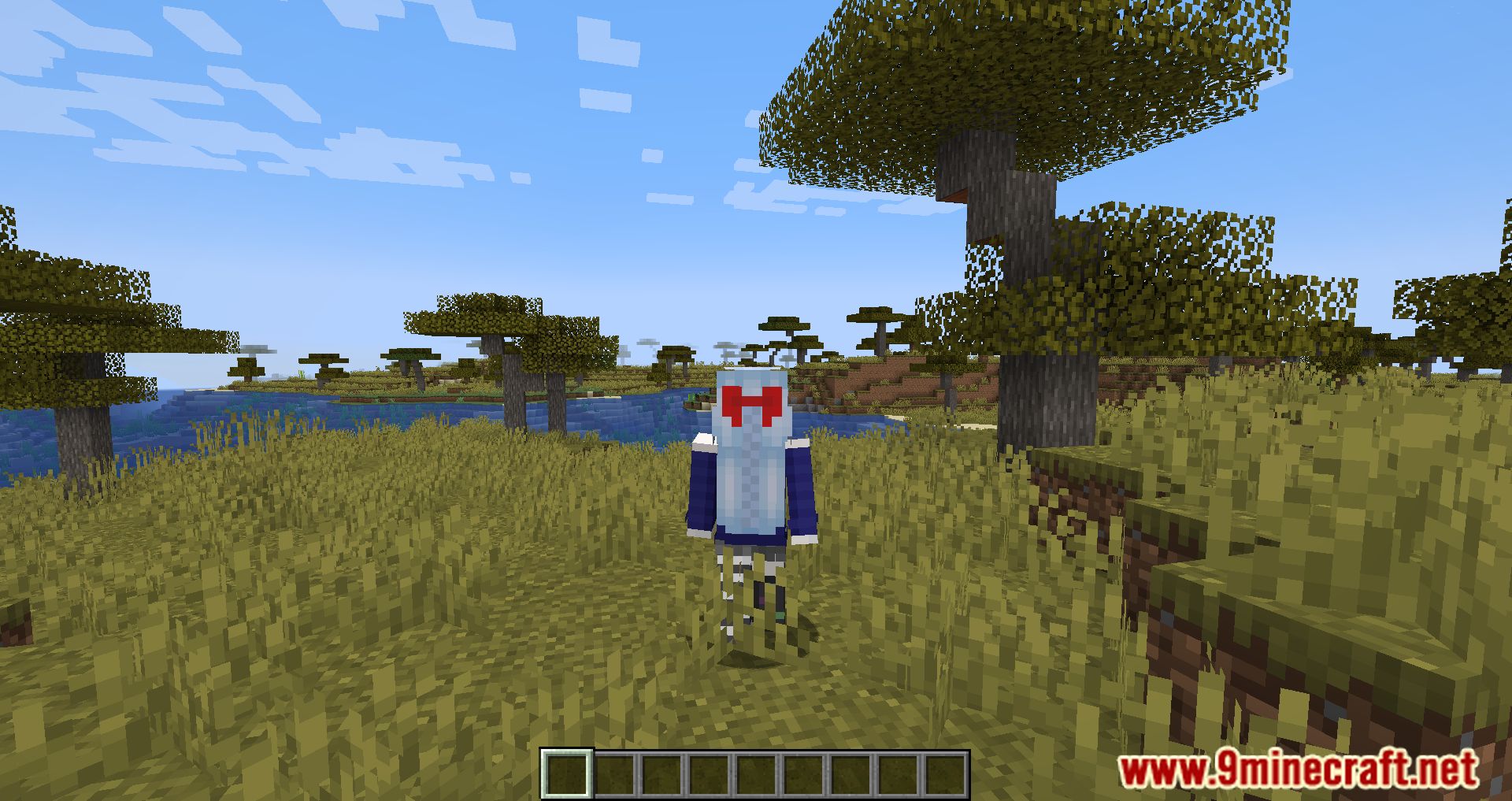 image 11 for Skin Restorer Mod (1.20.4) - Изменение скина сервера