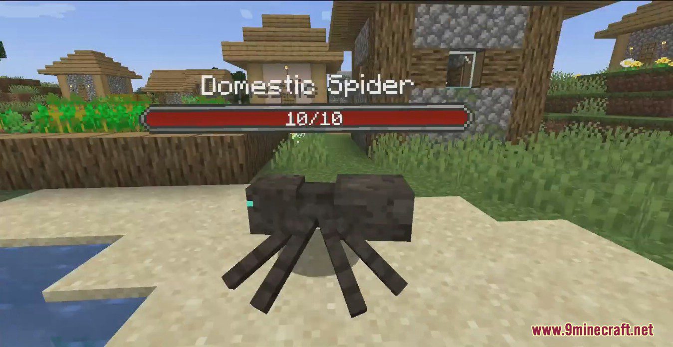 description_5 Arachnid Rancher Mod 1.19.2 - Самые милые безобидные домашние пауки