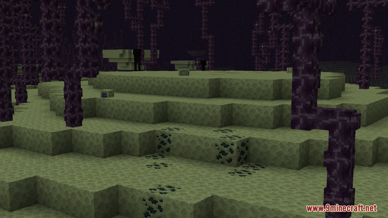 description_2 Enderscape Mod 1.19.2 - Qué hay de nuevo en Enderscape