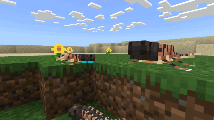  imagem 9 para suplemento