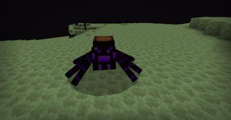 description_1 Riding on spiders.