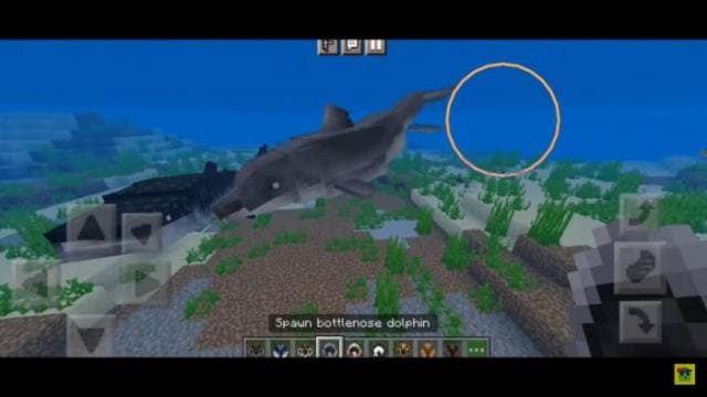description_8 Underwater animals.