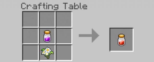 description_8 Pokecraft.