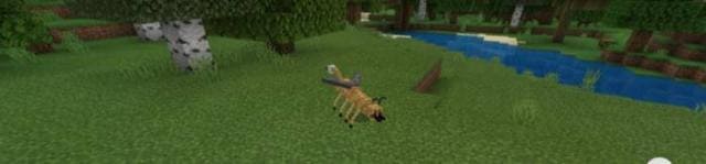 description_5 SCP - content.