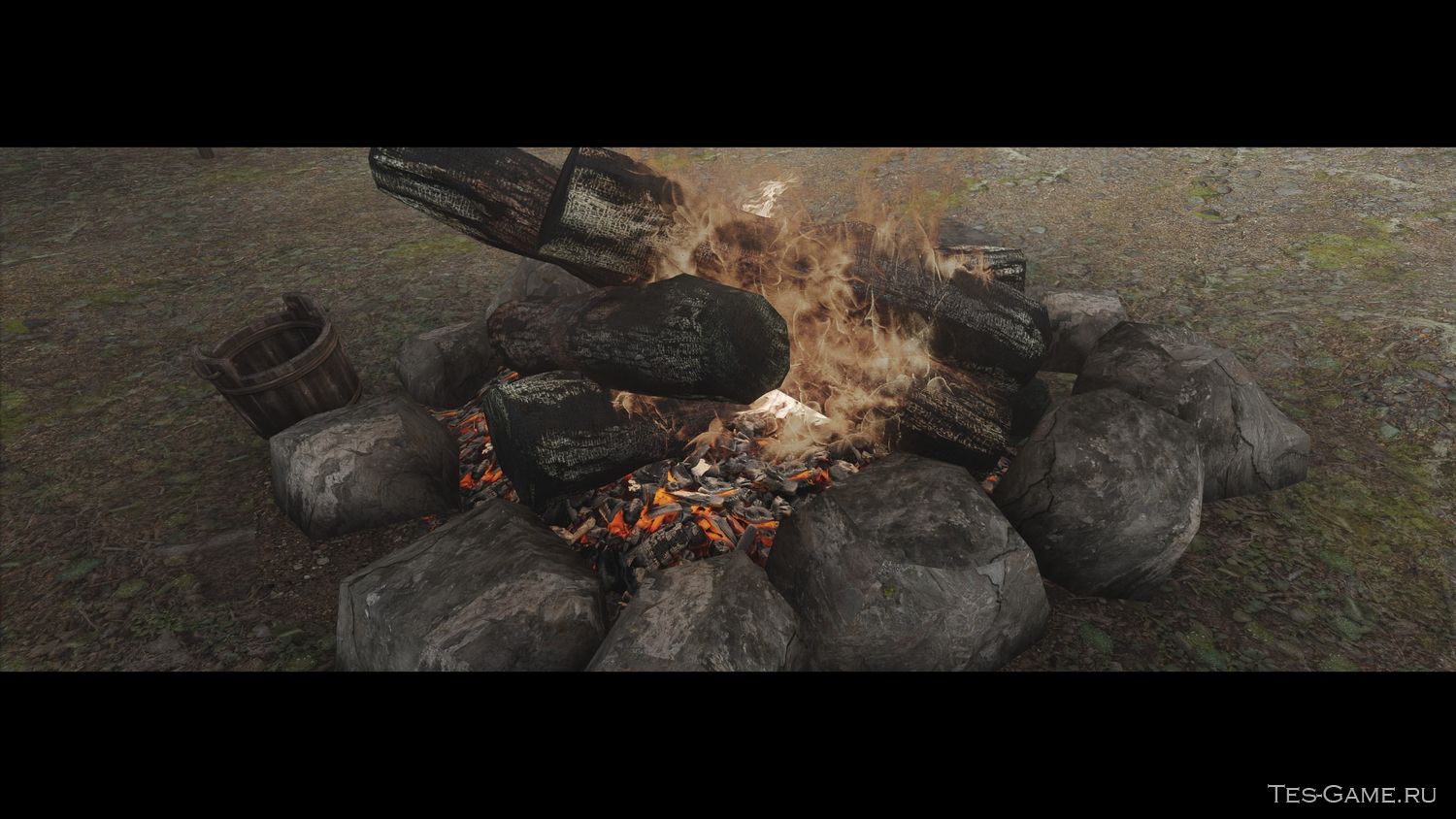 description_4 Charred log in the fires