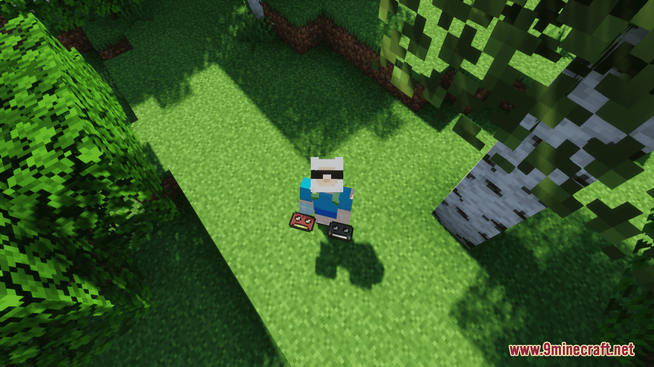 description_10 Teqie's Tapes Resource Pack (1.19.4, 1.19.2) - Пакет текстур