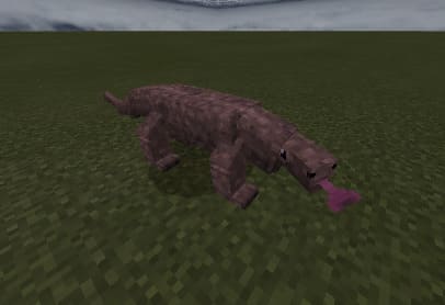 image 12 for 