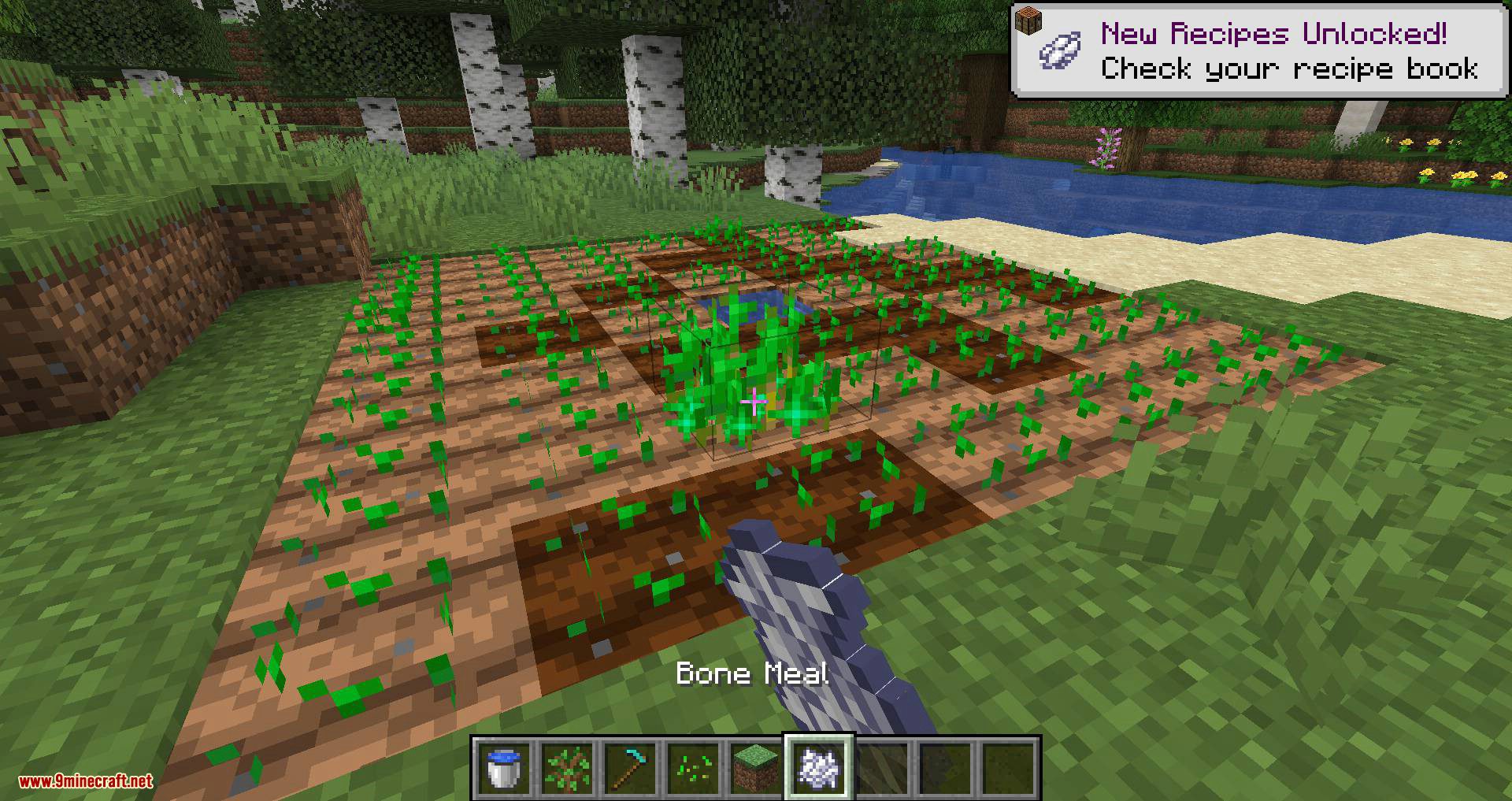 image 7 for Growth Ring Mode (1.20.5) - accelerated growth.