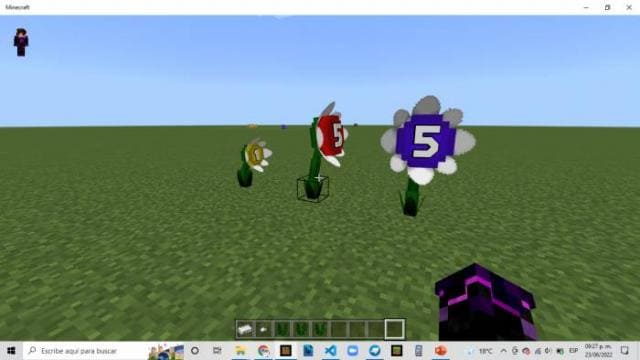 description_2 Pikmin.