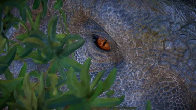 image 7 for 