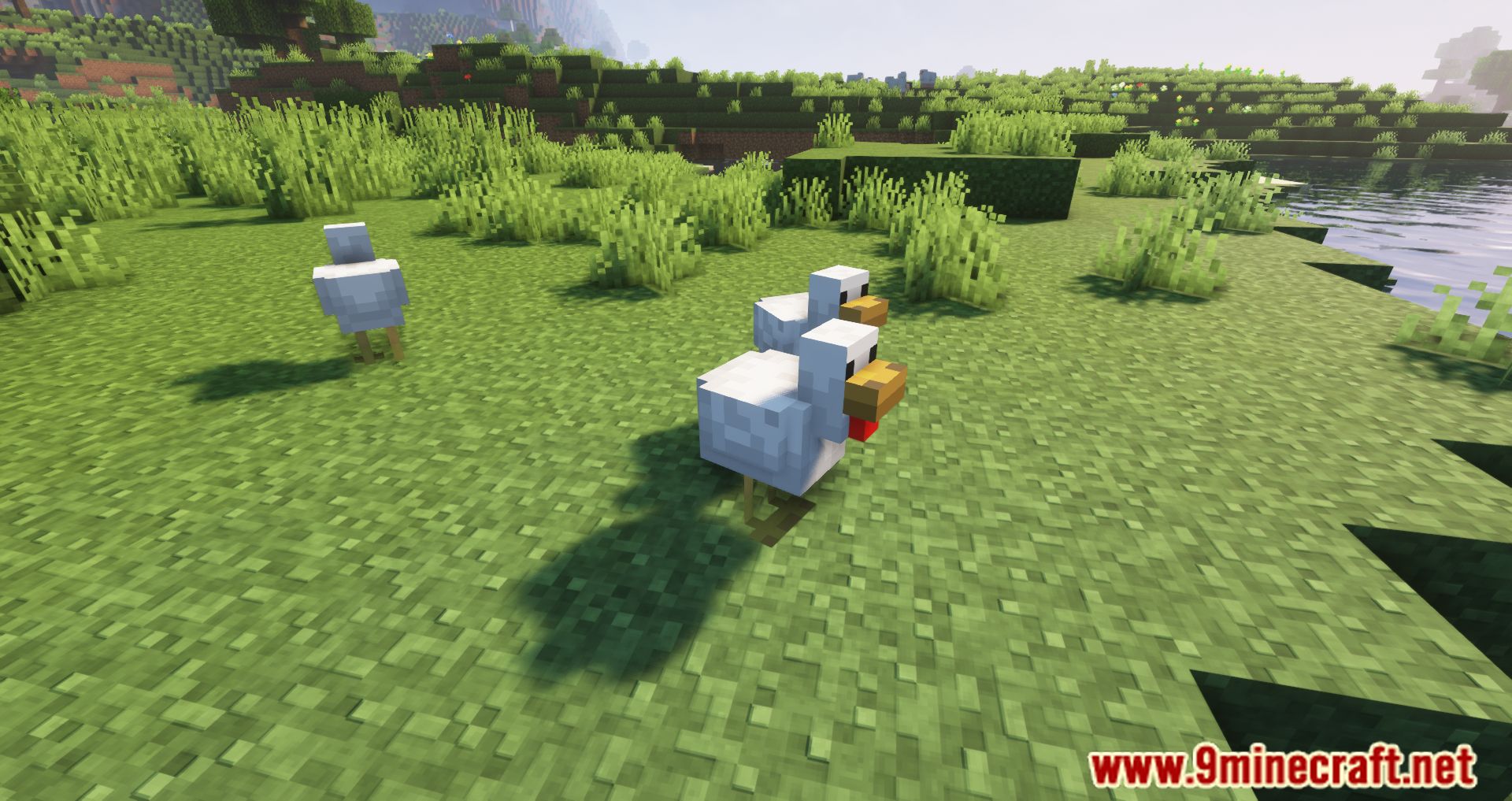 description_3 Despawning Eggs Hatch Mod - Chickens are born from dropped eggs.