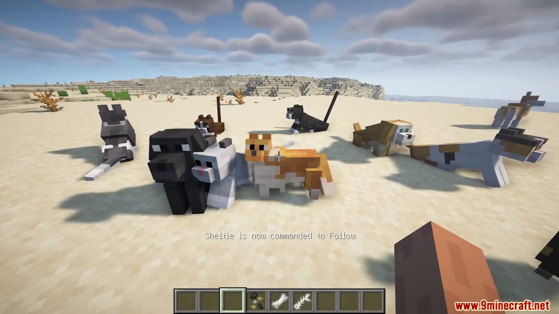 description_1 Pet Shop Mod (1.20.1) - interactive pets and items for them