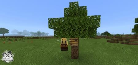 description_0 Королева пчел.