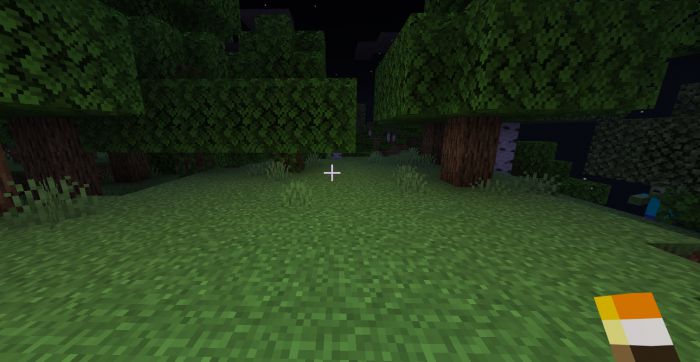 image 2 for Дополнение Torch Off Hand (1.20) - MCPE/Bedrock Mod