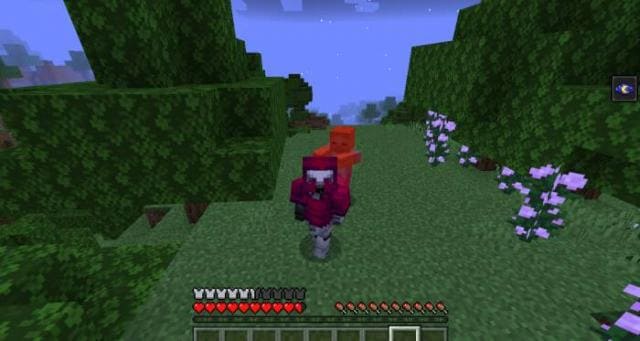 description_18 Expansion of survival.