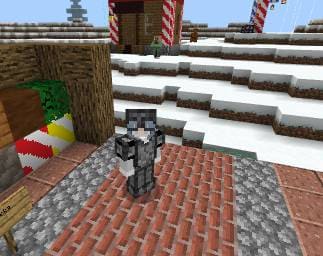 description_15 New Year's survival.