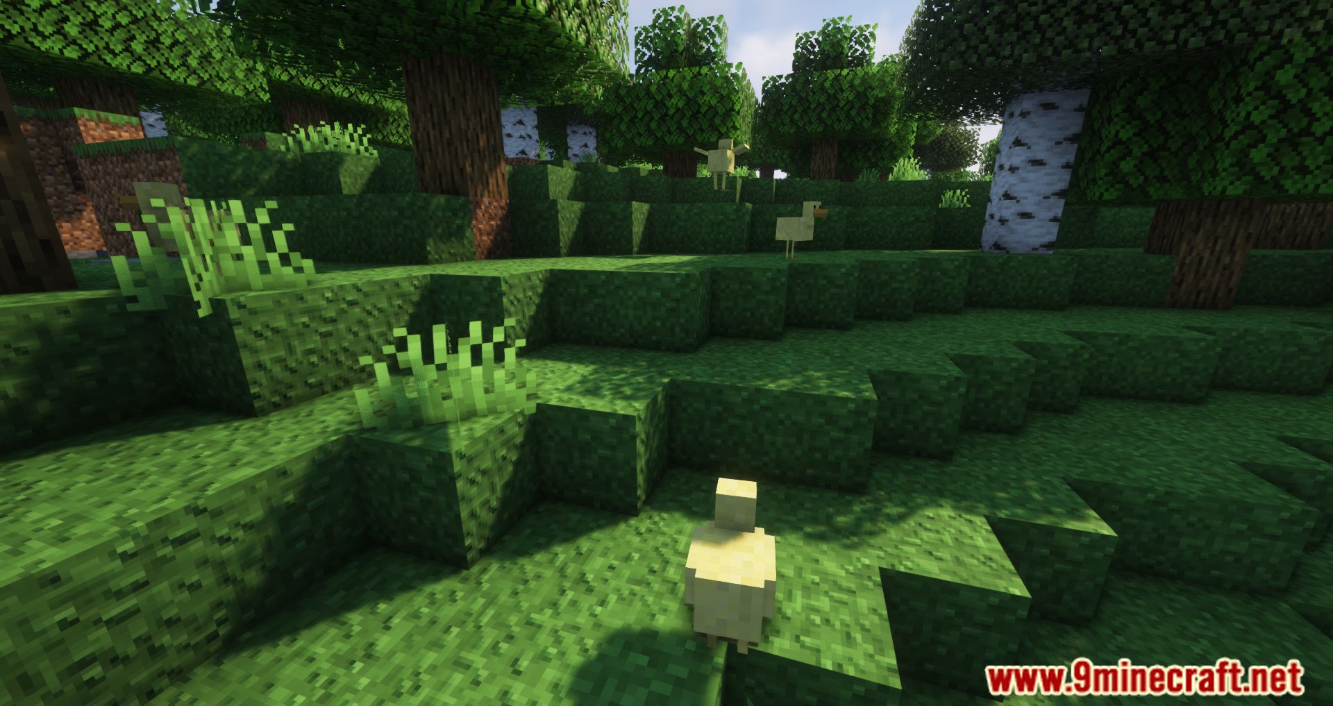 description_7 CreeperHost Presents Chickens Mod 1.19.2 - Chickens cackle less.