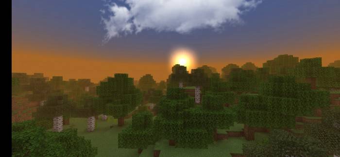 description_3 Craddy shaders