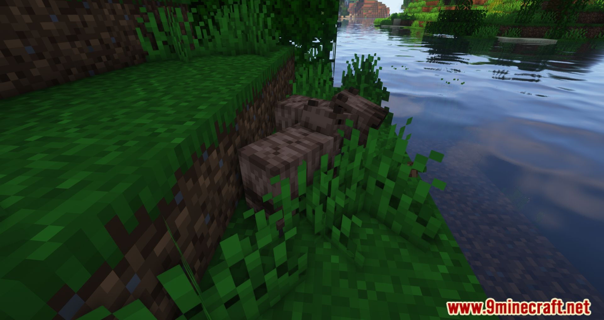 description_5 TechSupportRed's Capybara Mod 1.20.2 - Новое существо из джунглей, капибара!