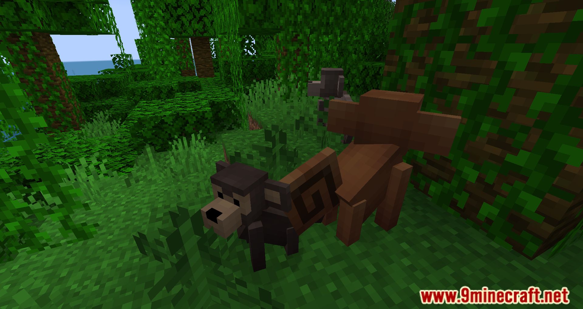 description_11 Chirpy's Wildlife Mod 1.20.1 - Разнообразные экосистемы