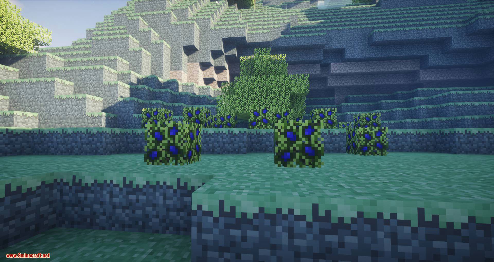 description_4 Aether Lost Content Mod - contenido de Aether desmantelado y no utilizado