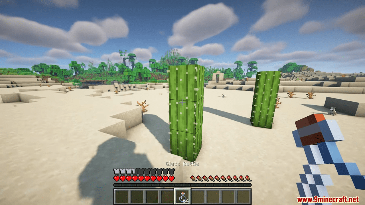 image 4 for Water Desert Survival Fashion Cactus (1.20.1)