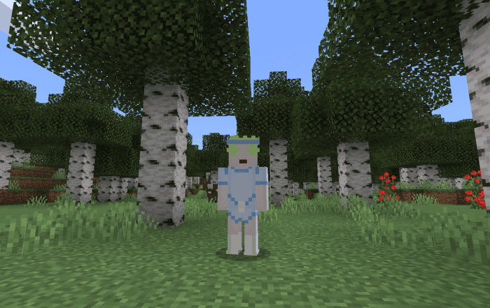 image 14 for Conjunto de vestuario para el espectáculo regular (1.19) - MCPE/Bedrock