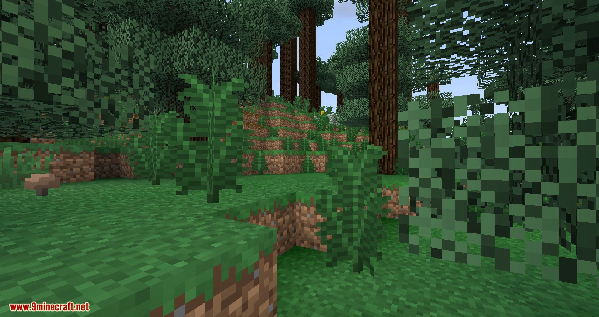 description_11 Builder's Quality of Life Shaders Mod (1.20.4, 1.19.4) Modded version - very good frame rate