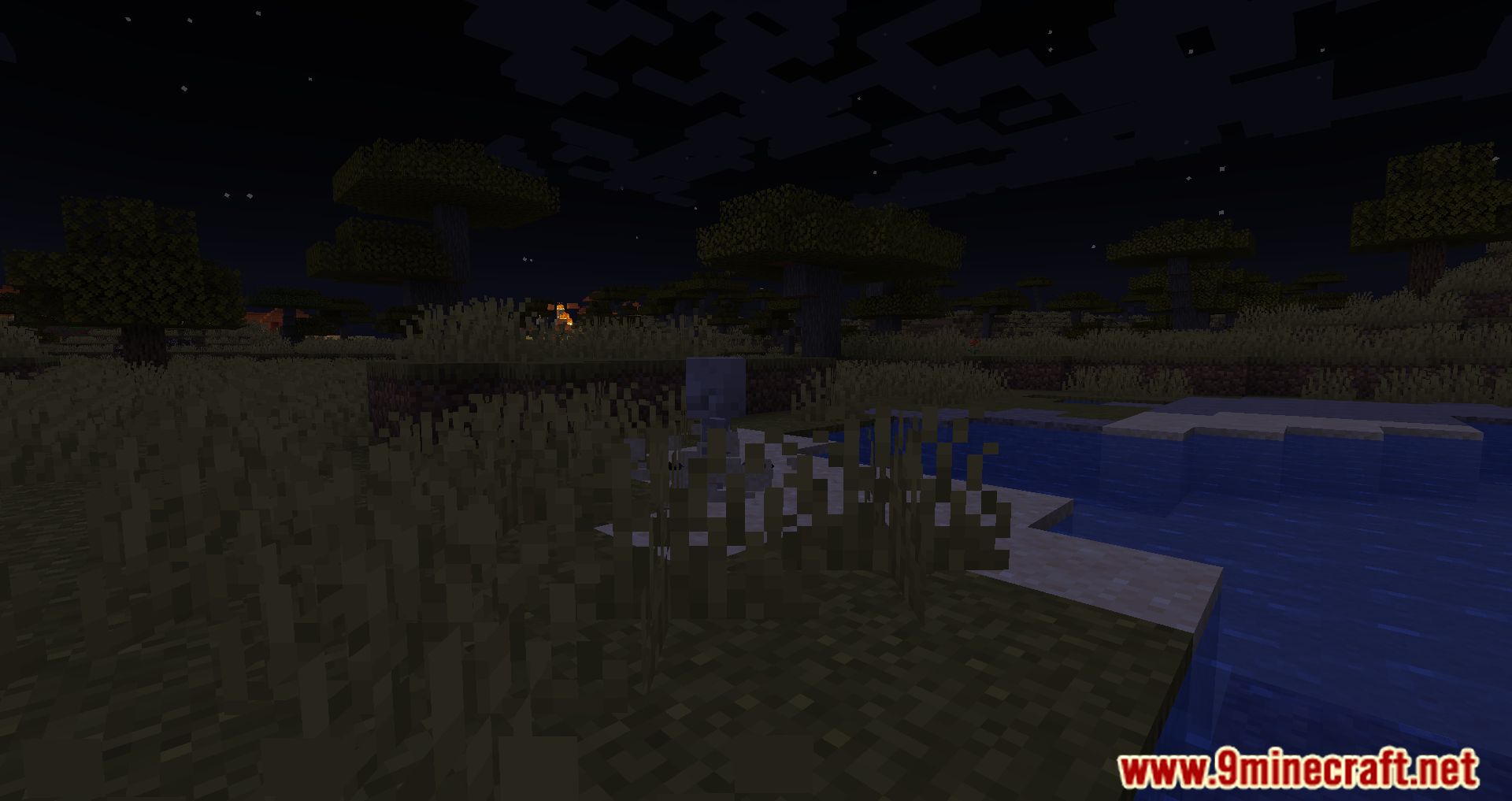description_9 Мод Spawn Animations (1.20.4) - оживление невидимого