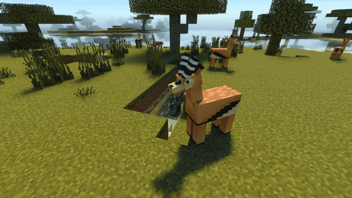 image 4 for Updated Entity Savanna Add-on (1.20) - MCPE/Bedrock Mod