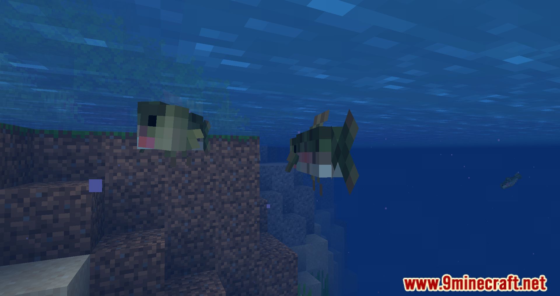 description_13 Chirpy's Wildlife Mod 1.20.1 - Diverse ecosystems