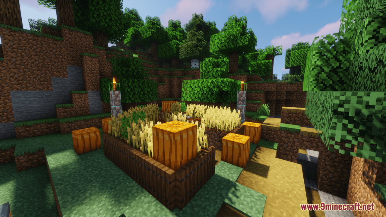 description_12 Block Hitbox Indicator Resource Pack (1.17.1 до 1.19.4) - Набор текстур