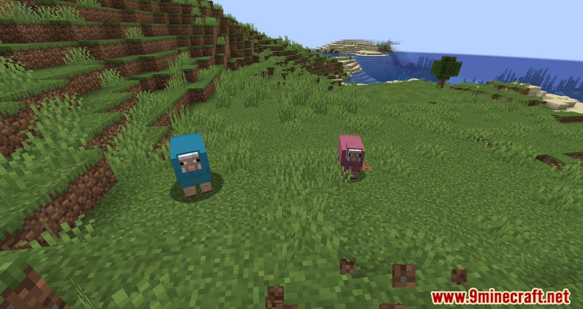 description_9 Random Sheep Colours Mod 1.20.4 - добавьте ярких красок в ваше стадо