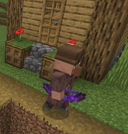 description_6 Сельчанин-солдат.