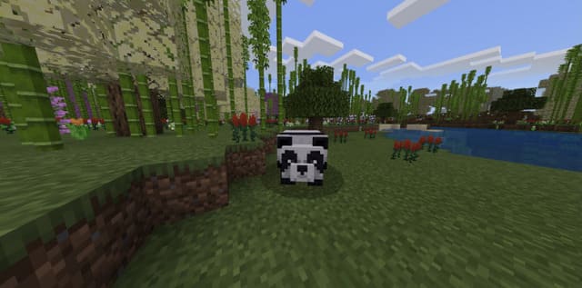 description_3 Diversity of biomes.