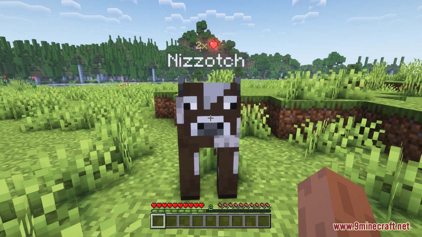 description_2 Mob Plaques Mod (1.20.1) - a neat little attribute for mobs